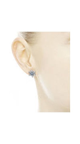 Br-64 Brincos Luxuoso Floco de Neve Zirconias Branca e Prata 925